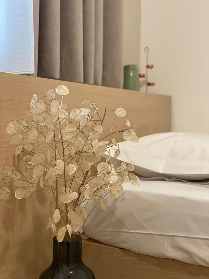 Nord House * Korce